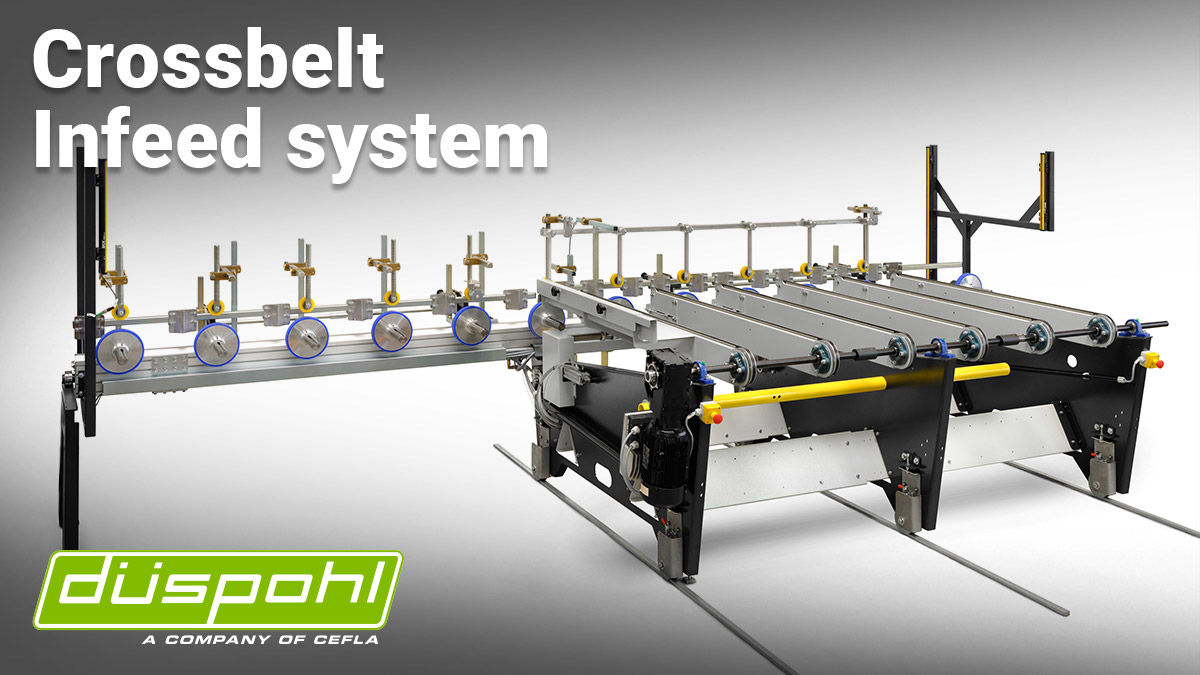 Crossbelt Infeed System